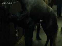 Giving the anal fuck more magnitude makes a horse happy.